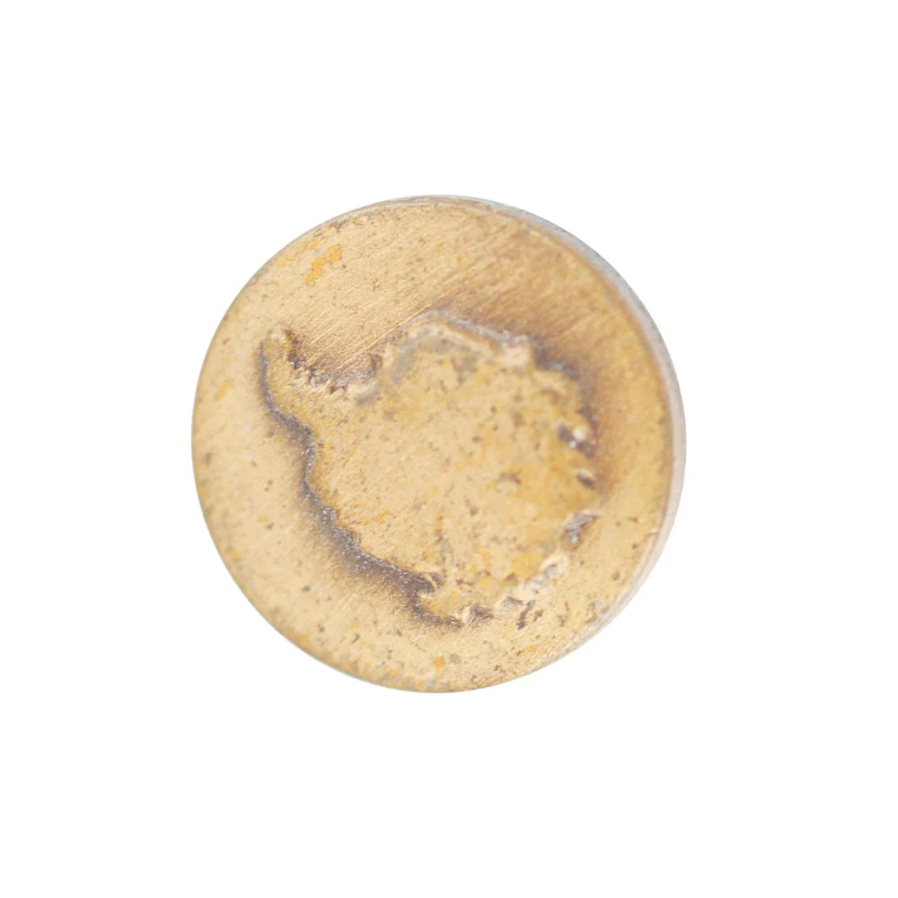 Antarctica Disk - Bronze