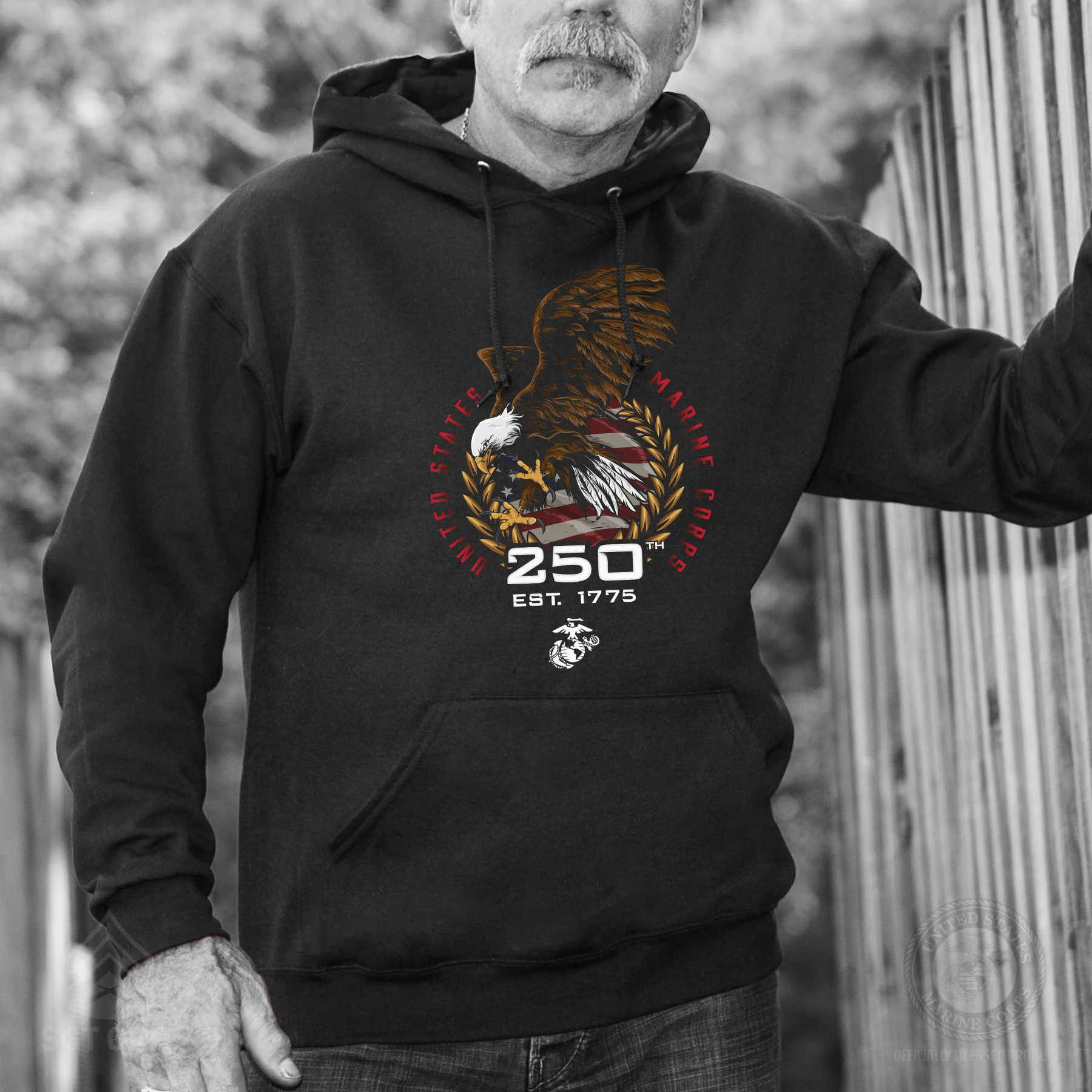 USMC 250th Anniversary Eagle Hoodie - Image 2