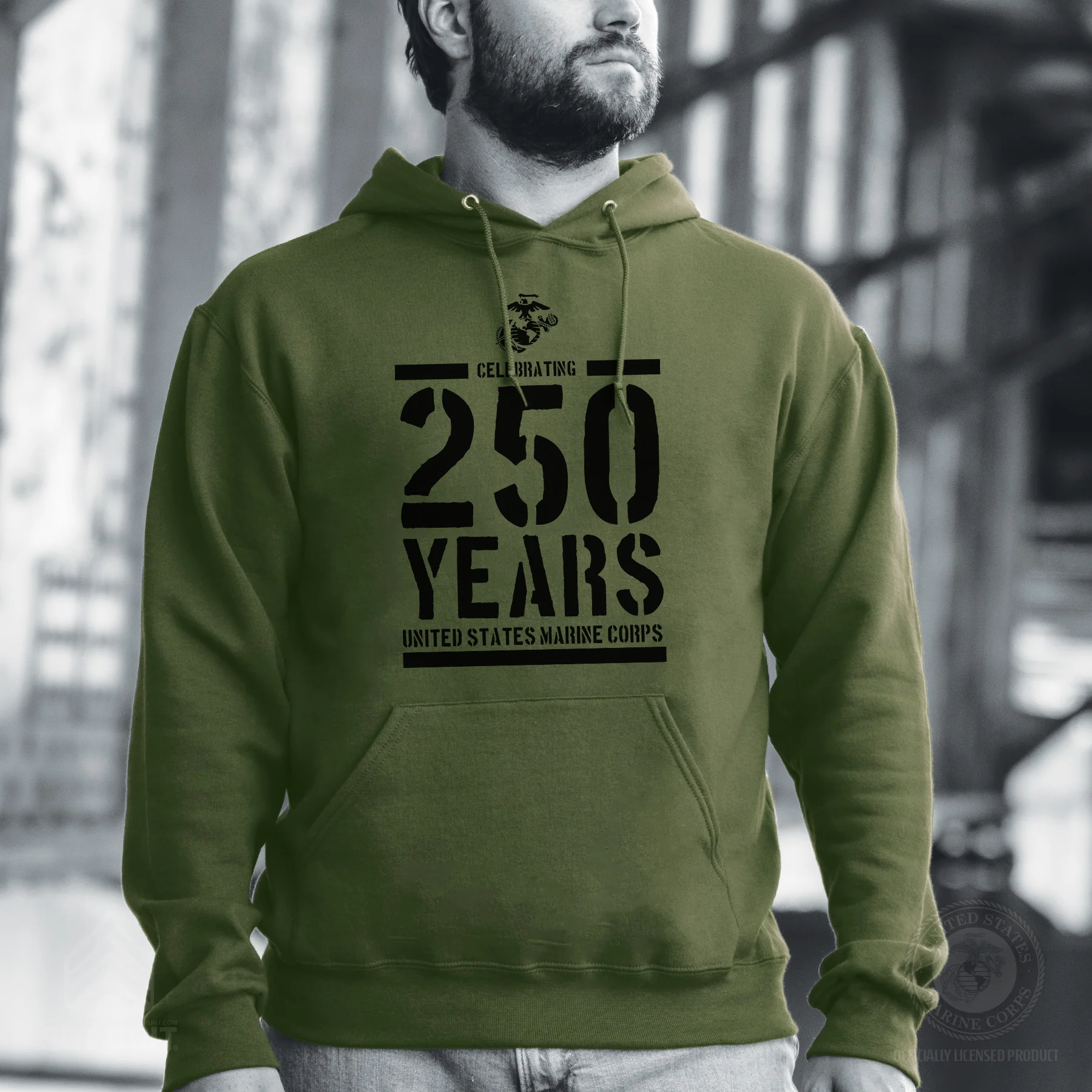 USMC Celebrating 250 Years Hoodie - Image 2