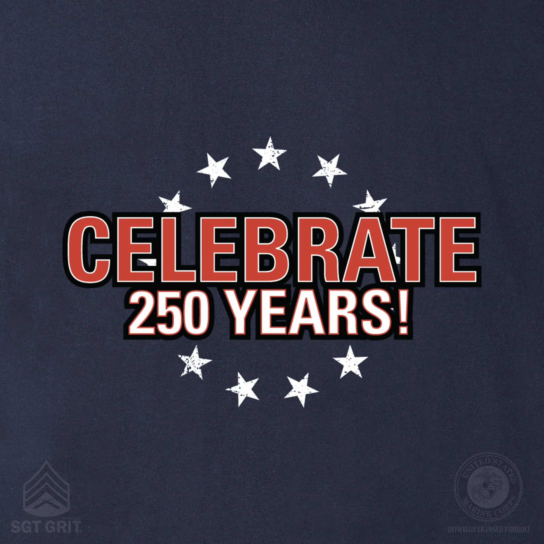 I Want You to Celebrate 250 Years Hoodie- Back Design - Image 9
