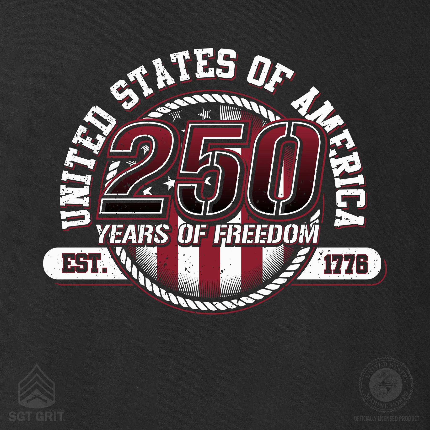 250 Years of Freedom Hoodie - Back Design - Image 13