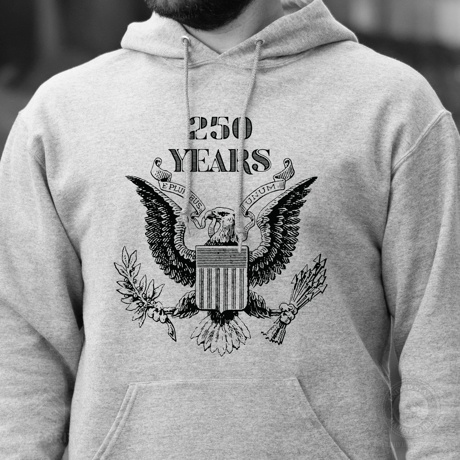 Vintage Eagle 250 Years Hoodie- Gray - Image 2