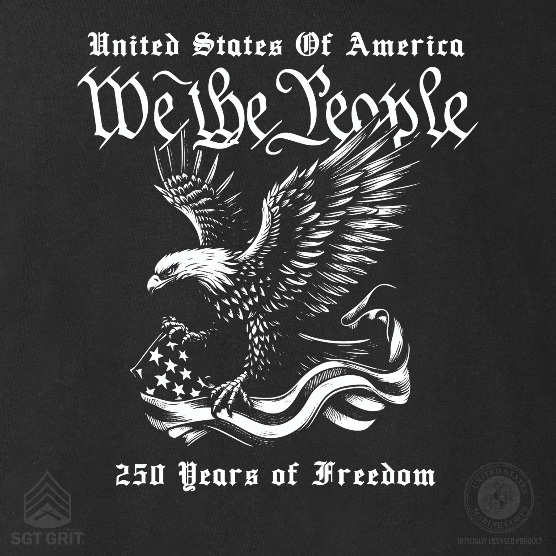 We The People 250 Years Eagle Hoodie - Image 3