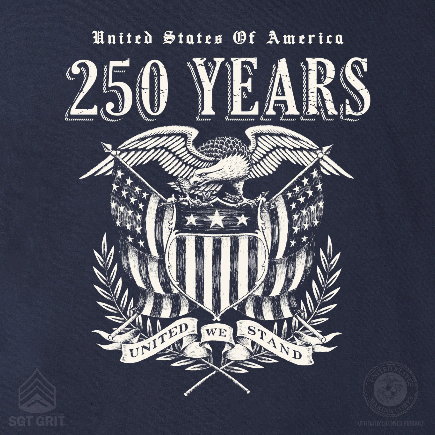 250 Years United We Stand Hoodie - Image 9
