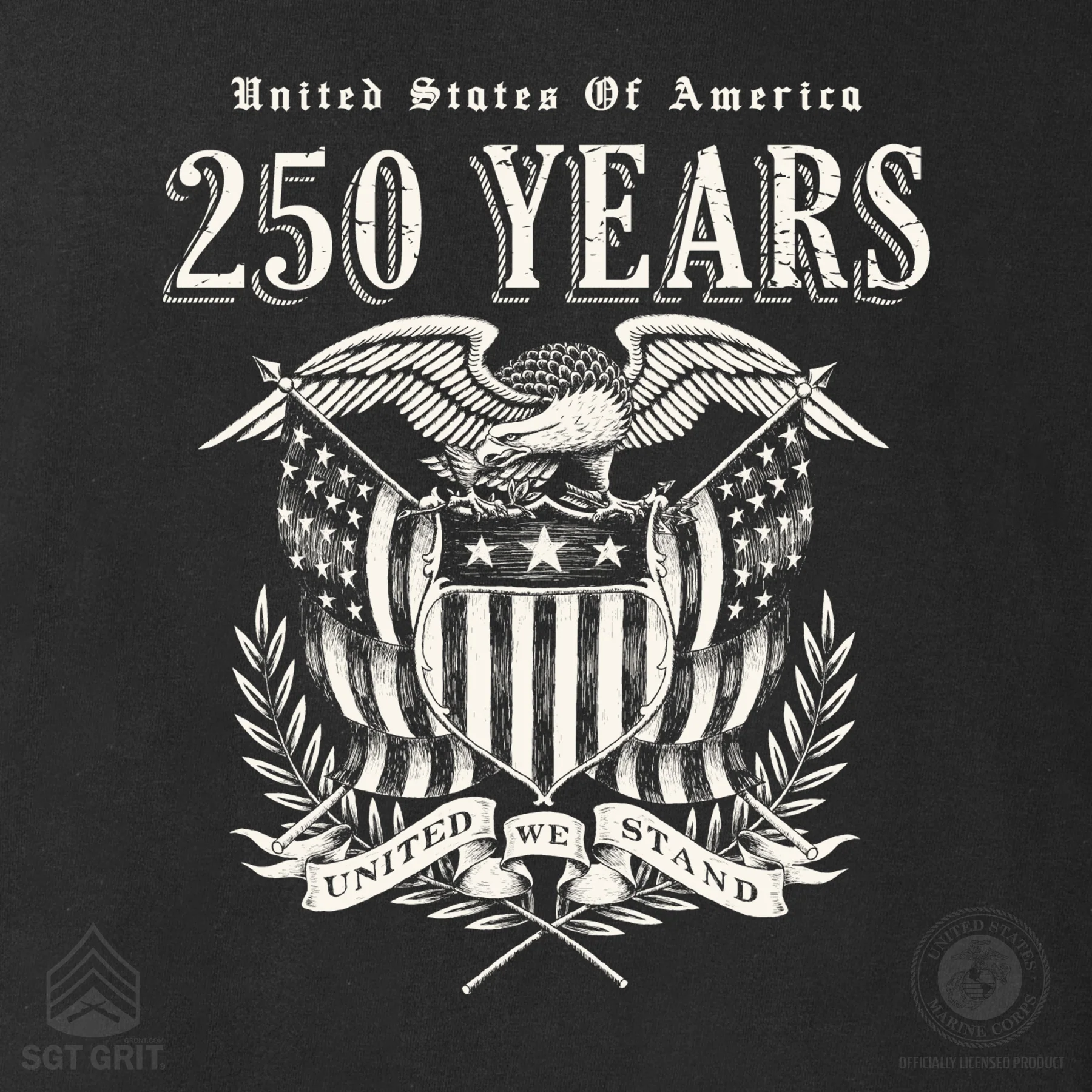 250 Years United We Stand Long Sleeve T-Shirt - Image 10