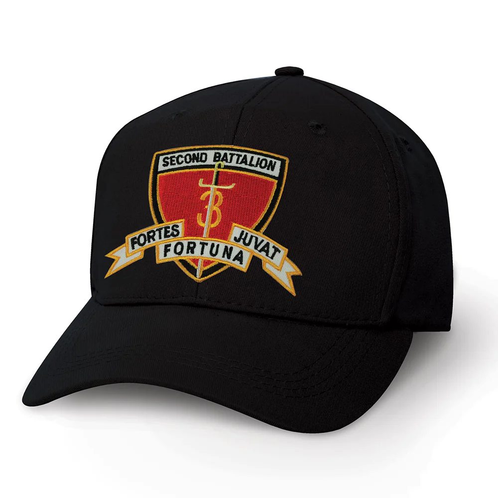 2nd Battalion 3rd Marines Patch Cover