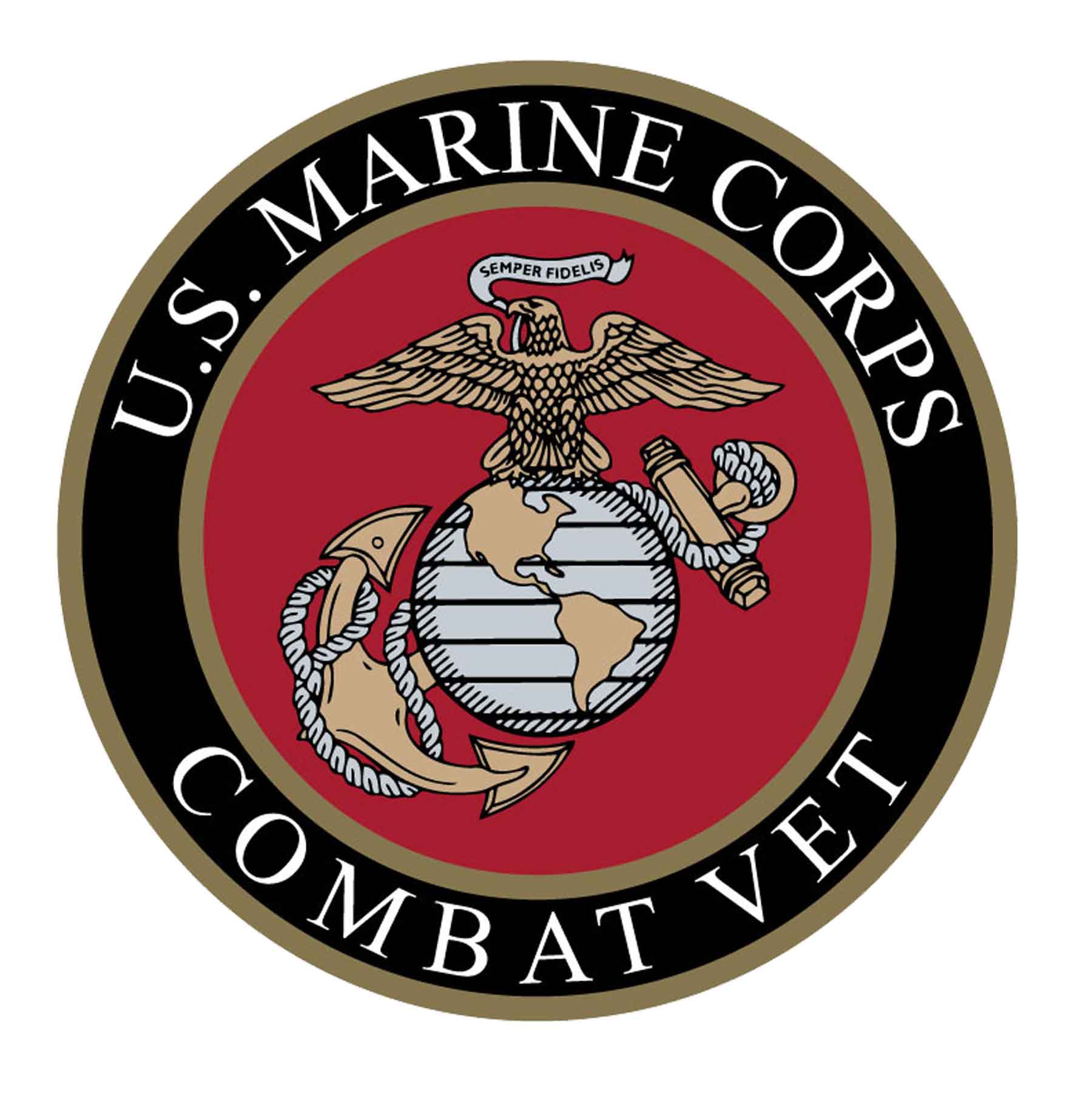 USMC EGA Combat Vet 10" Patch