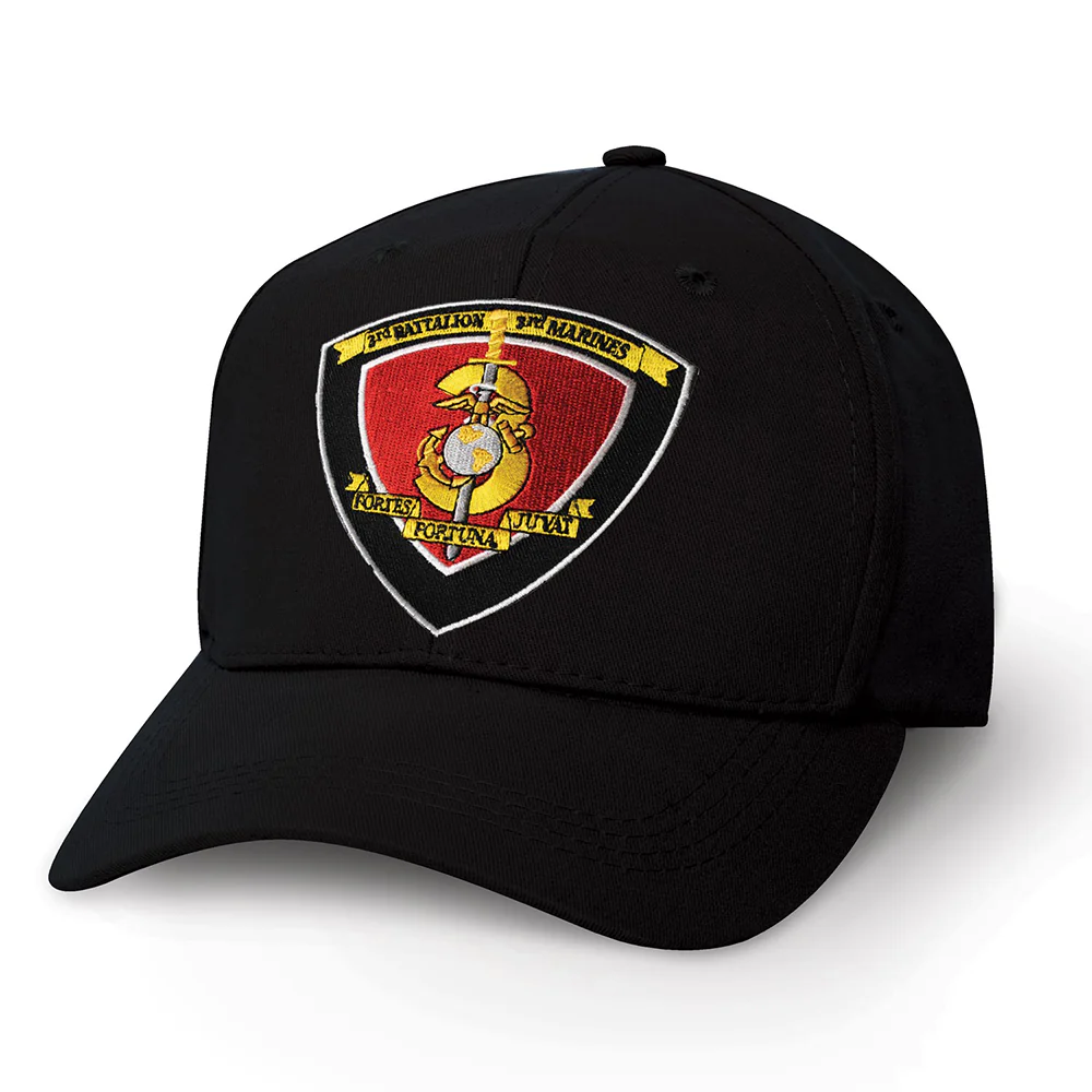 3rd Battalion 3rd Marines Patch Cover