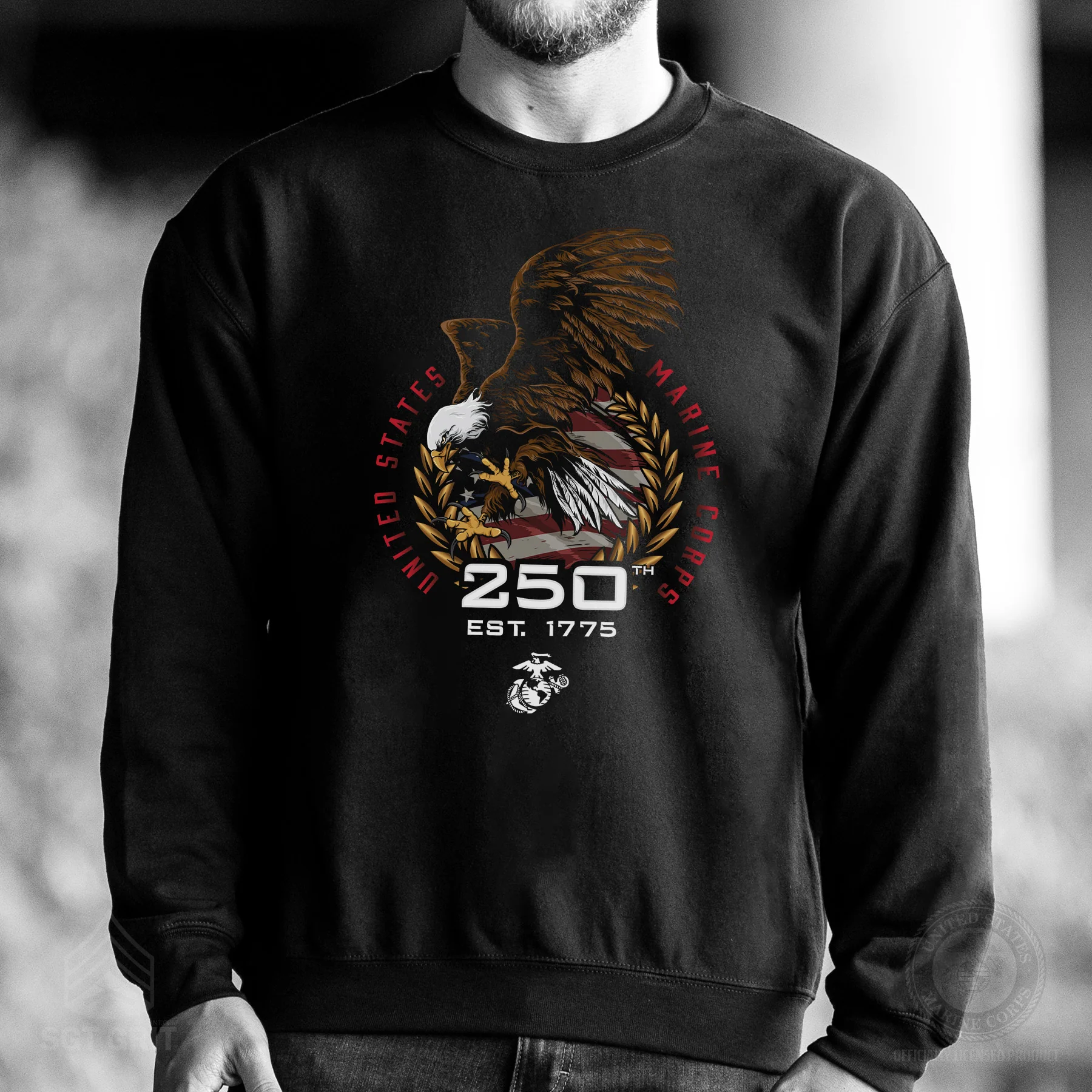 USMC 250th Anniversary Eagle Sweatshirt - Image 2