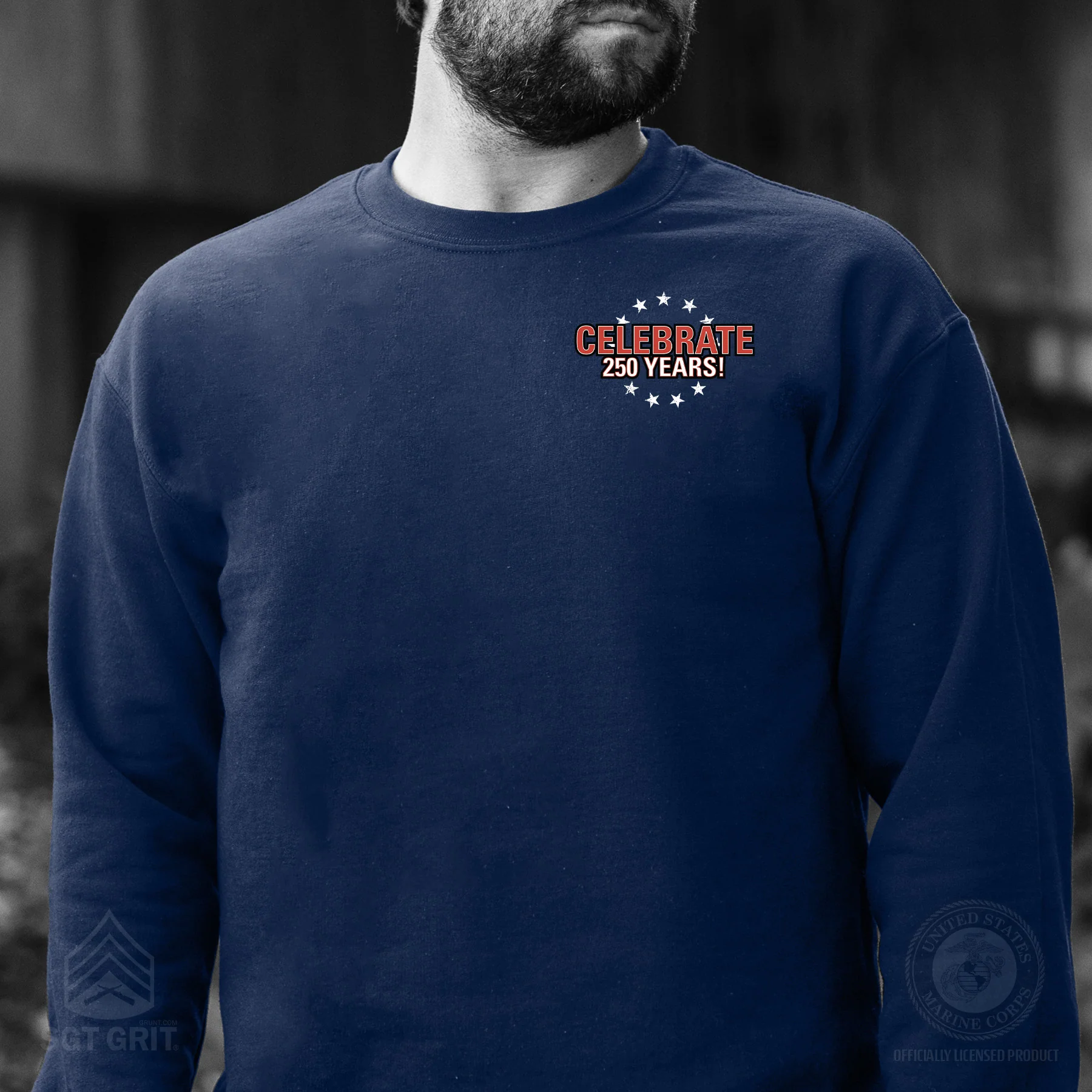 I Want You to Celebrate 250 Years Sweatshirt - Back Design - Image 2