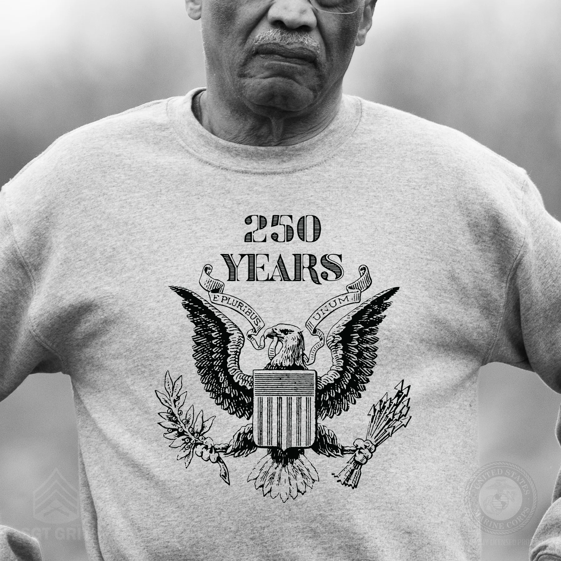 Vintage Eagle 250 Years Sweatshirt- Gray - Image 2