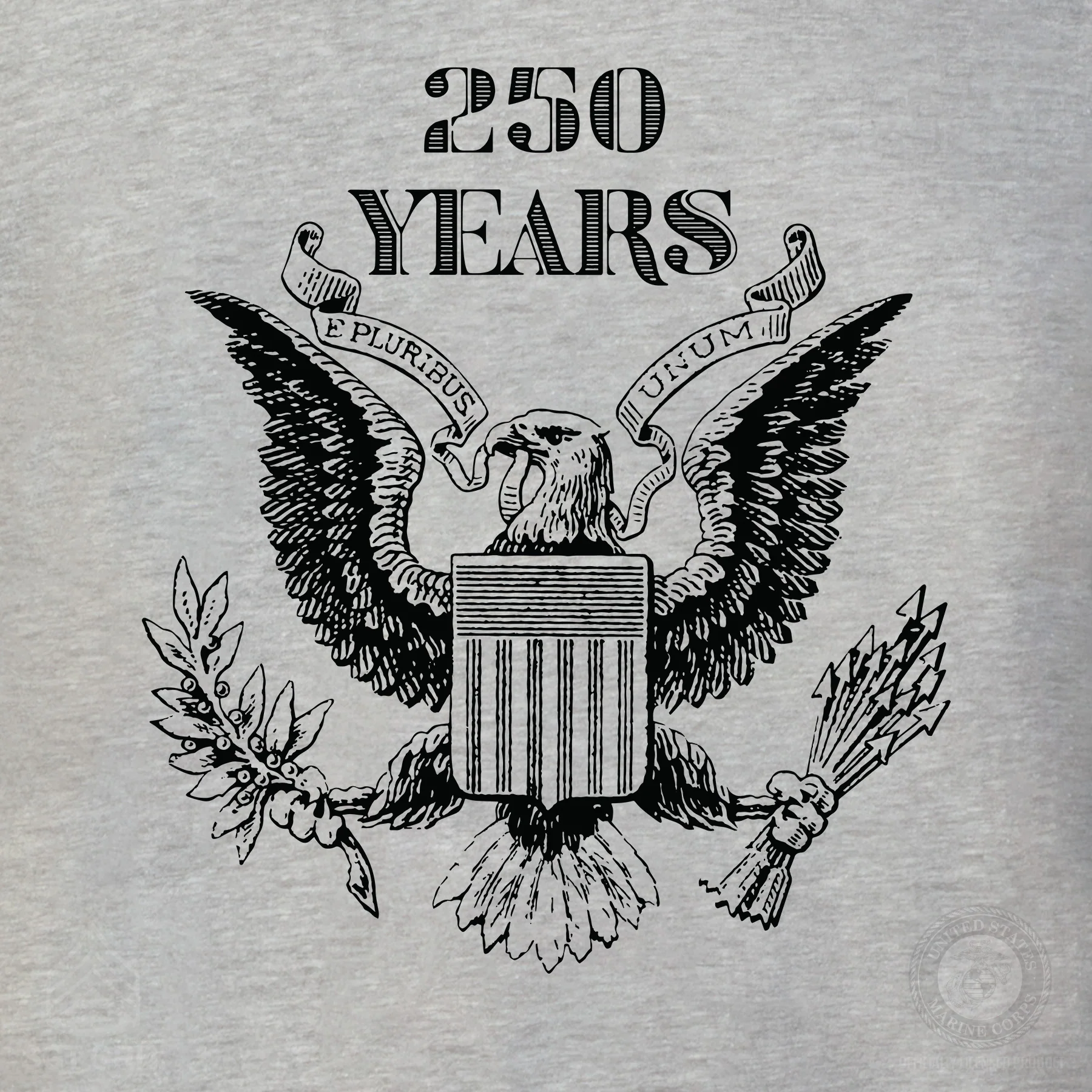 Vintage Eagle 250 Years Sweatshirt- Gray - Image 3