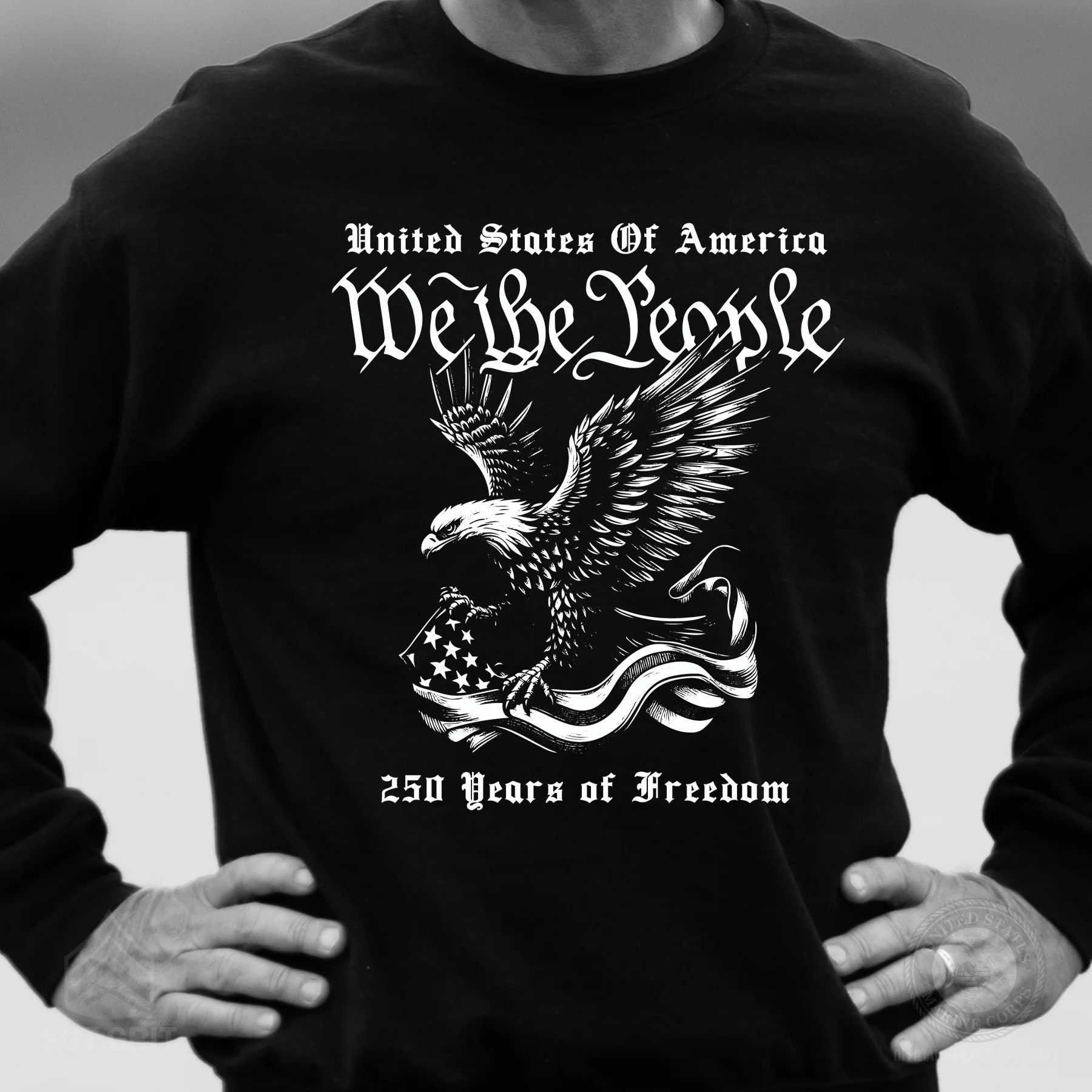 We The People 250 Years Eagle Sweatshirt - Image 4