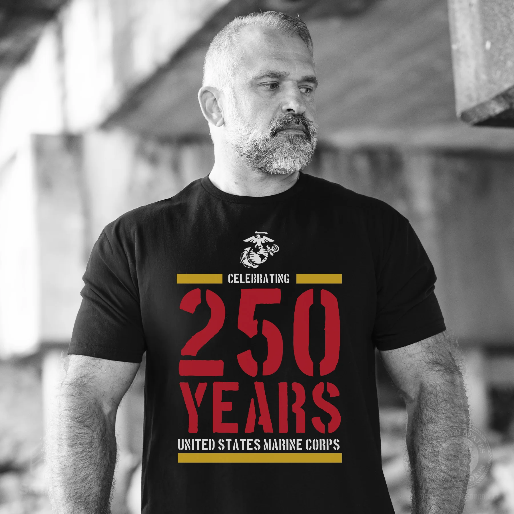 USMC Celebrating 250 Years T-Shirt- Black - Image 2
