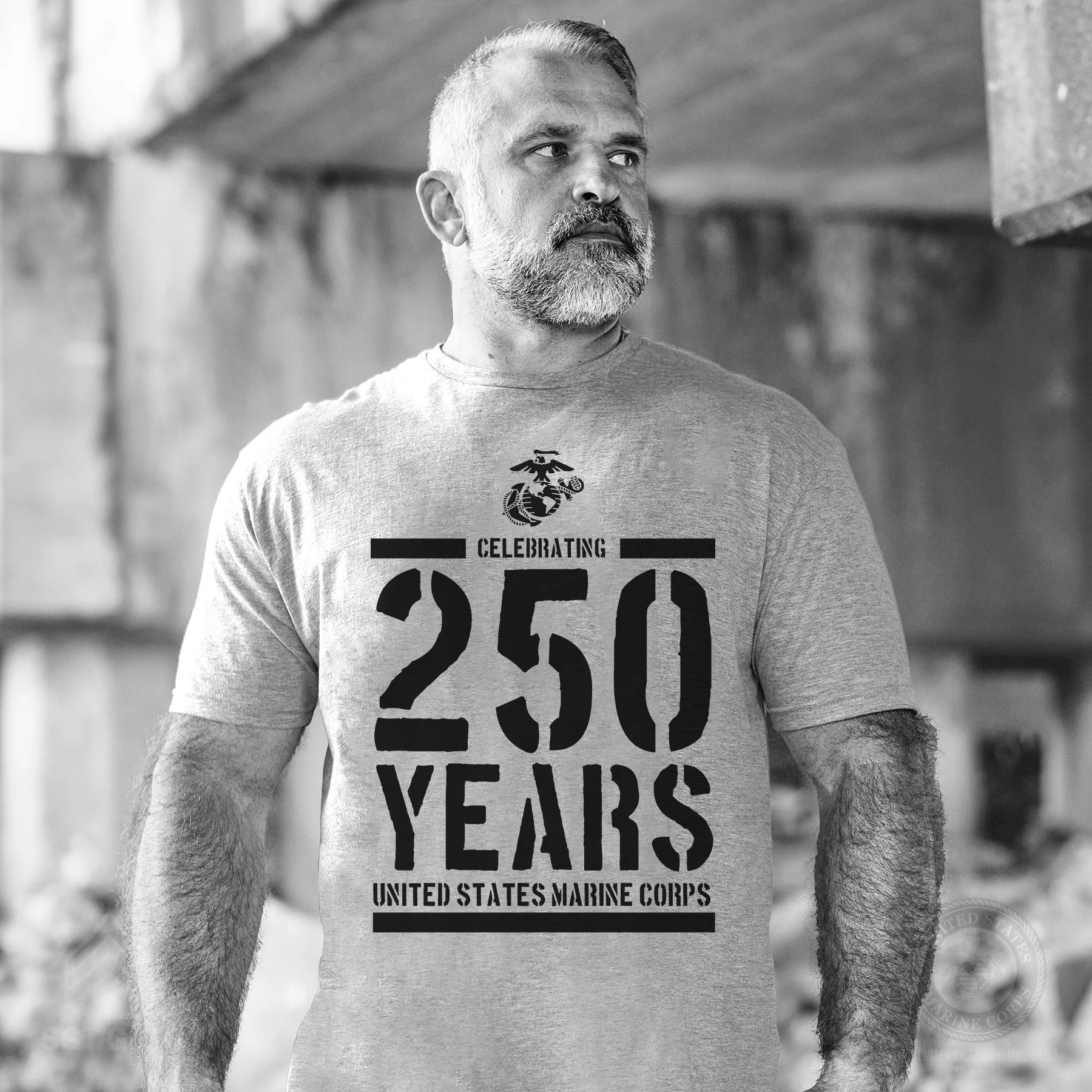 USMC Celebrating 250 Years T-Shirt- OD Green - Image 3