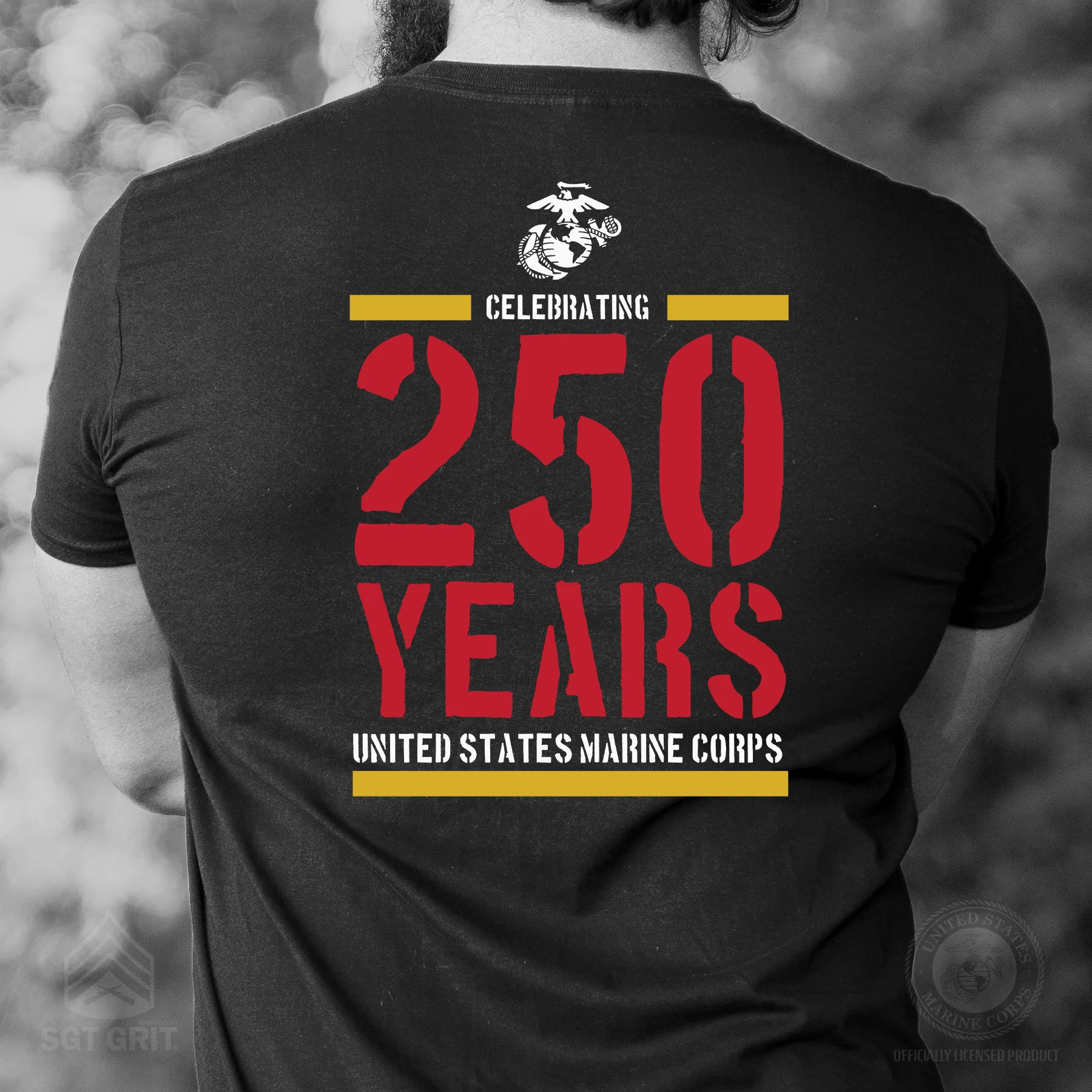USMC Celebrating 250 Years Black T-Shirt- Back Design - Image 2