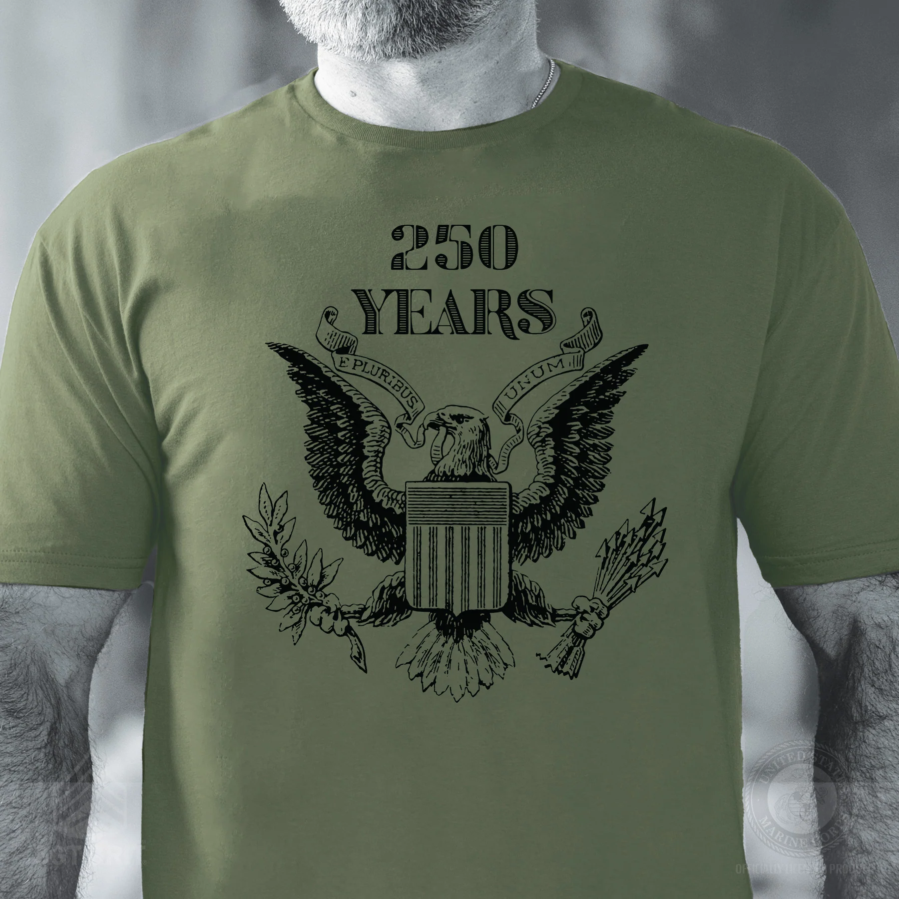Vintage Eagle 250 Years T-Shirt- OD Green - Image 2
