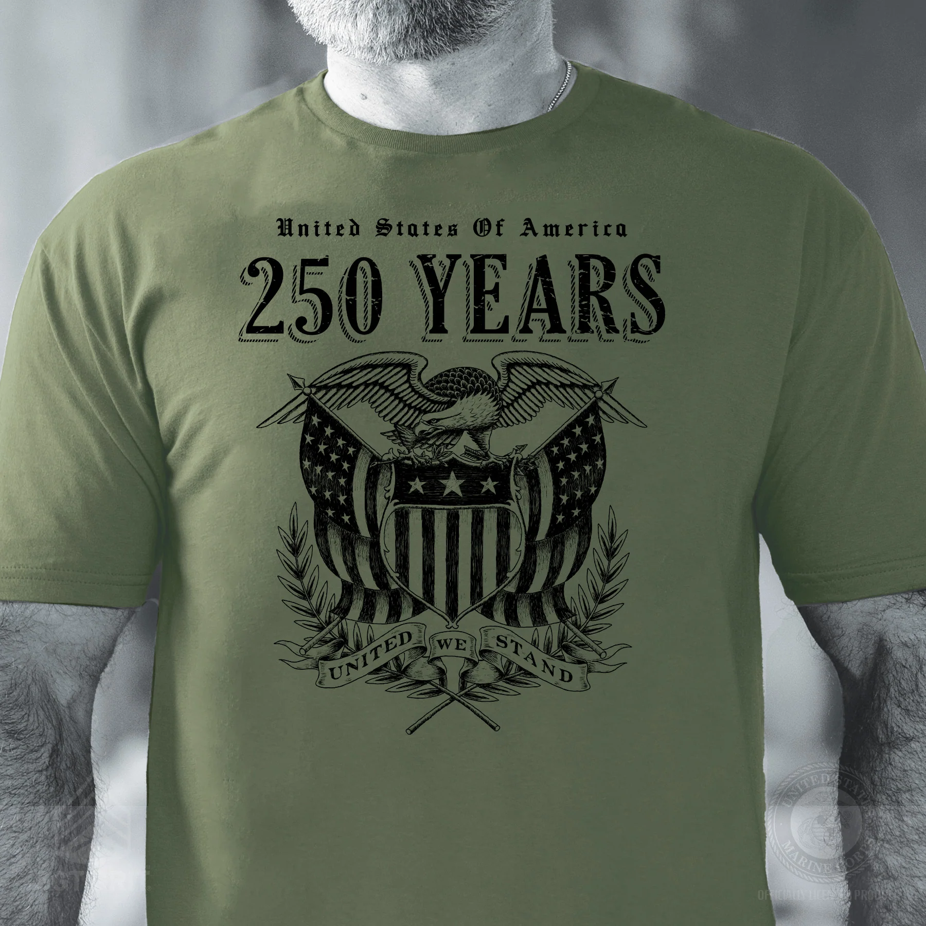 250 Years United We Stand T-Shirt - Image 5